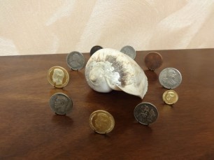 Ракушка на богатство
