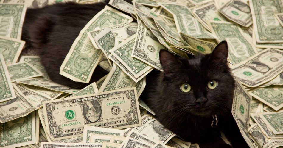 black cat rolling in money 950x500 - Денежный лунный календарь апрель 2021
