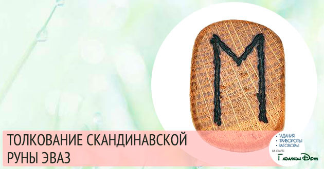 руна эваз значение описание толкование